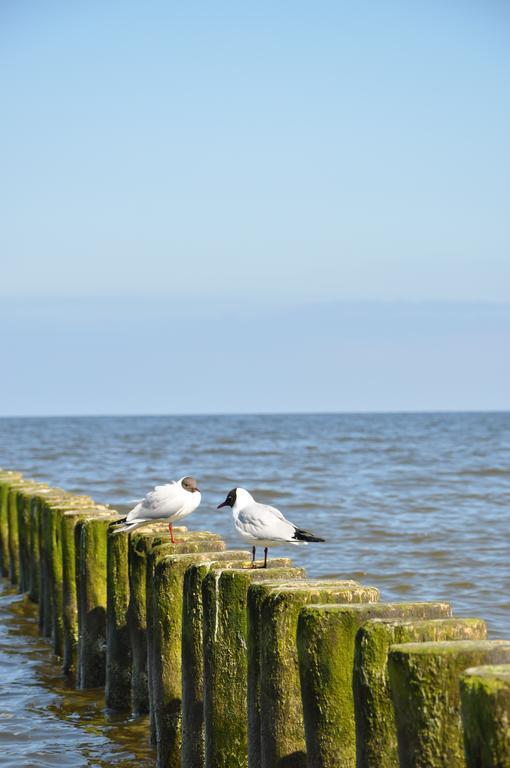 Seetelhotel Nautic Usedom Hotel & Spa 코세로우 외부 사진